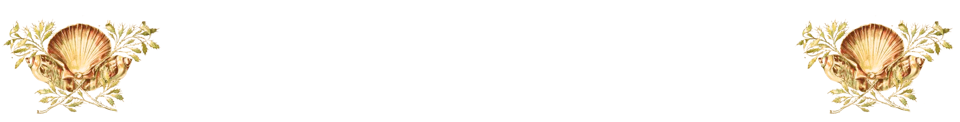ornement_shell