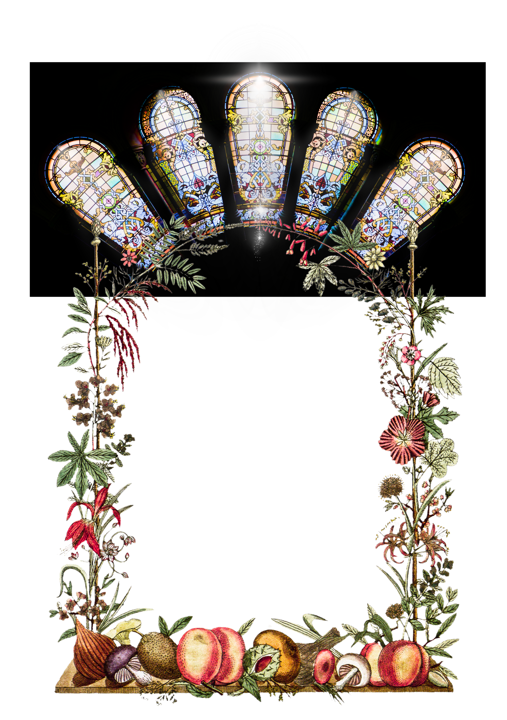 veg-arche