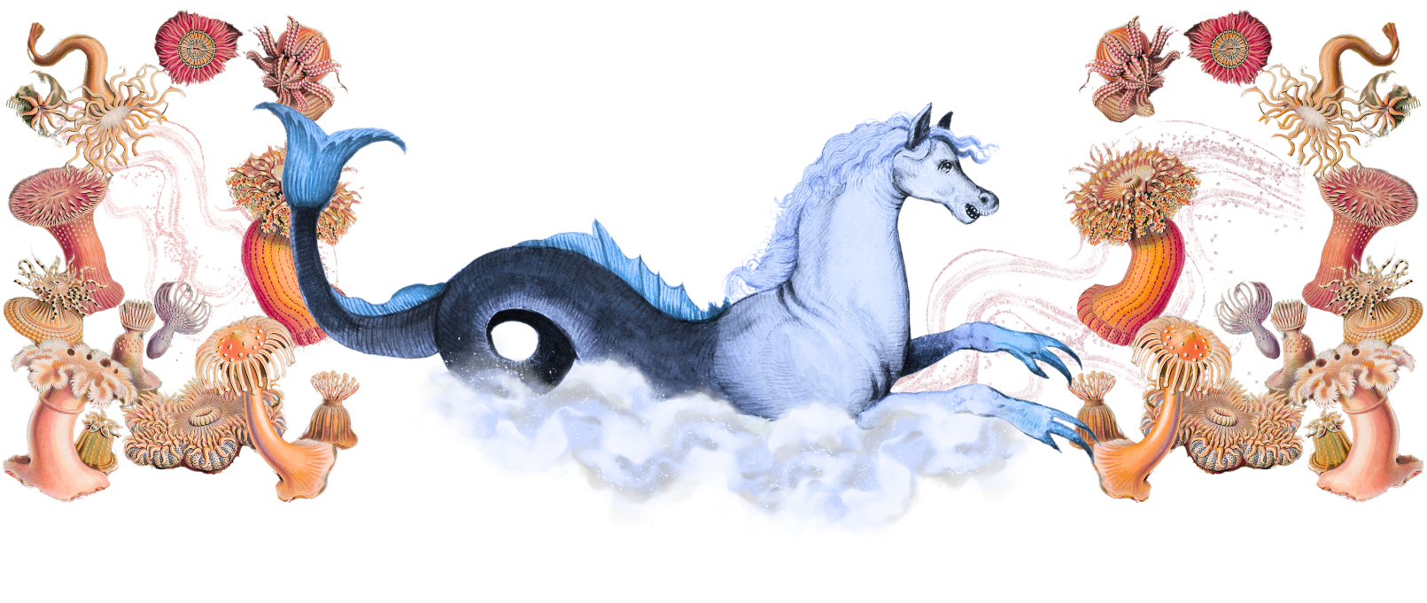 New Design Bellyem(75).png