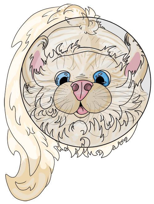 A feline pet with a transparent, round bowl on its head.