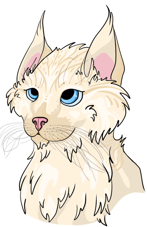 Portrait of a feline pet named JemJem.