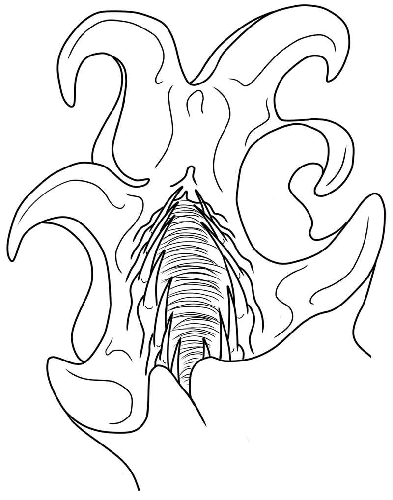 Lineart of the close-up of a slug-like alien's toothed head.