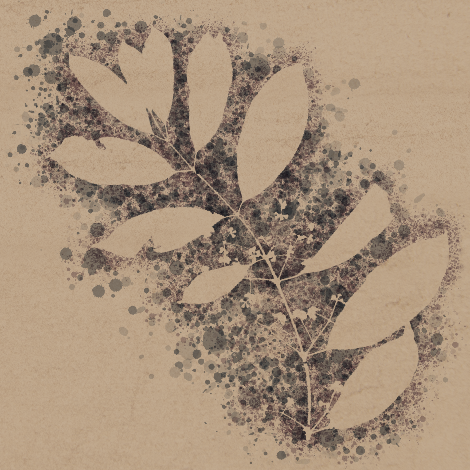 Cave Painting of the leaves of the Oli Tree.