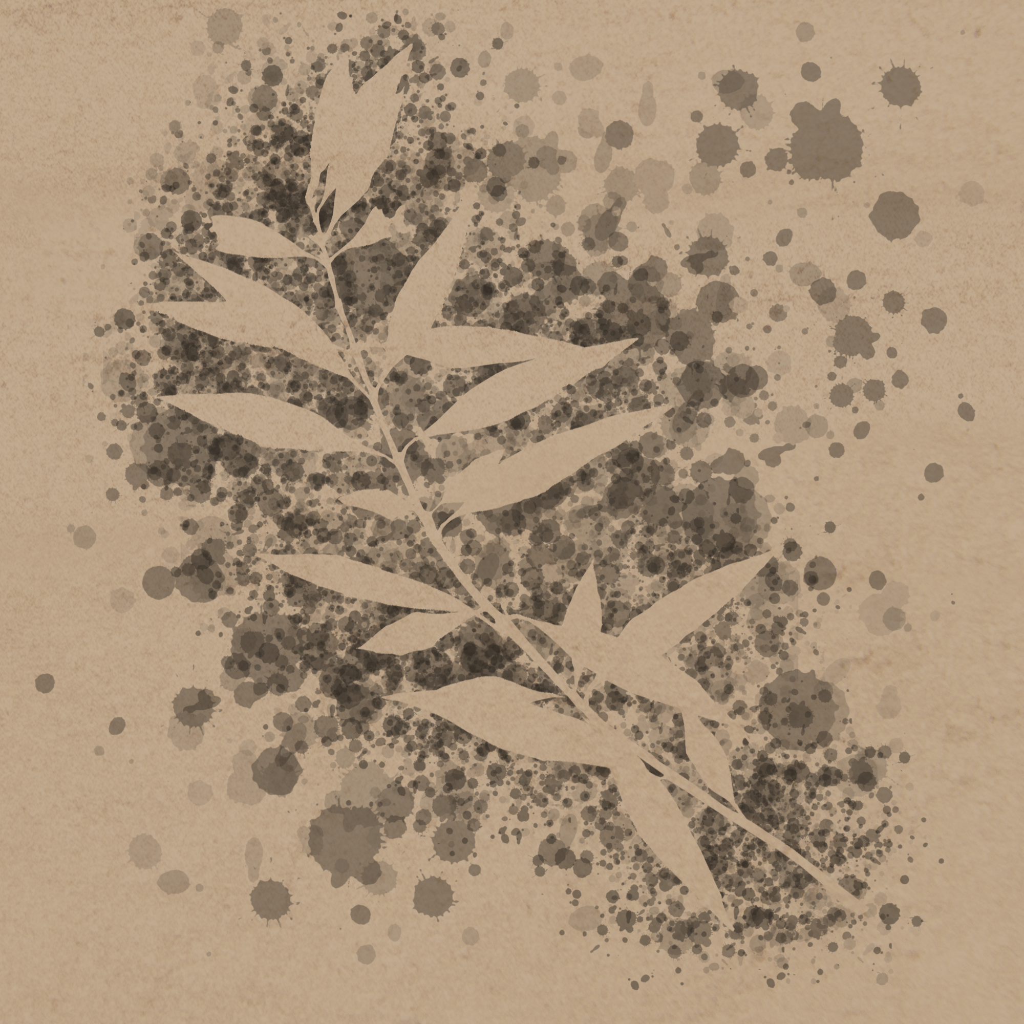 Cave Painting of the leaves of the Roi Tree
