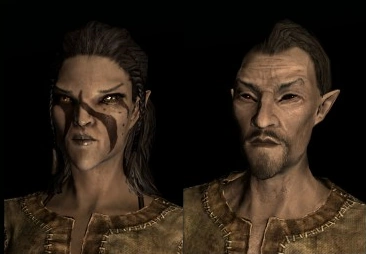Bosmer_%28Skyrim%29.webp