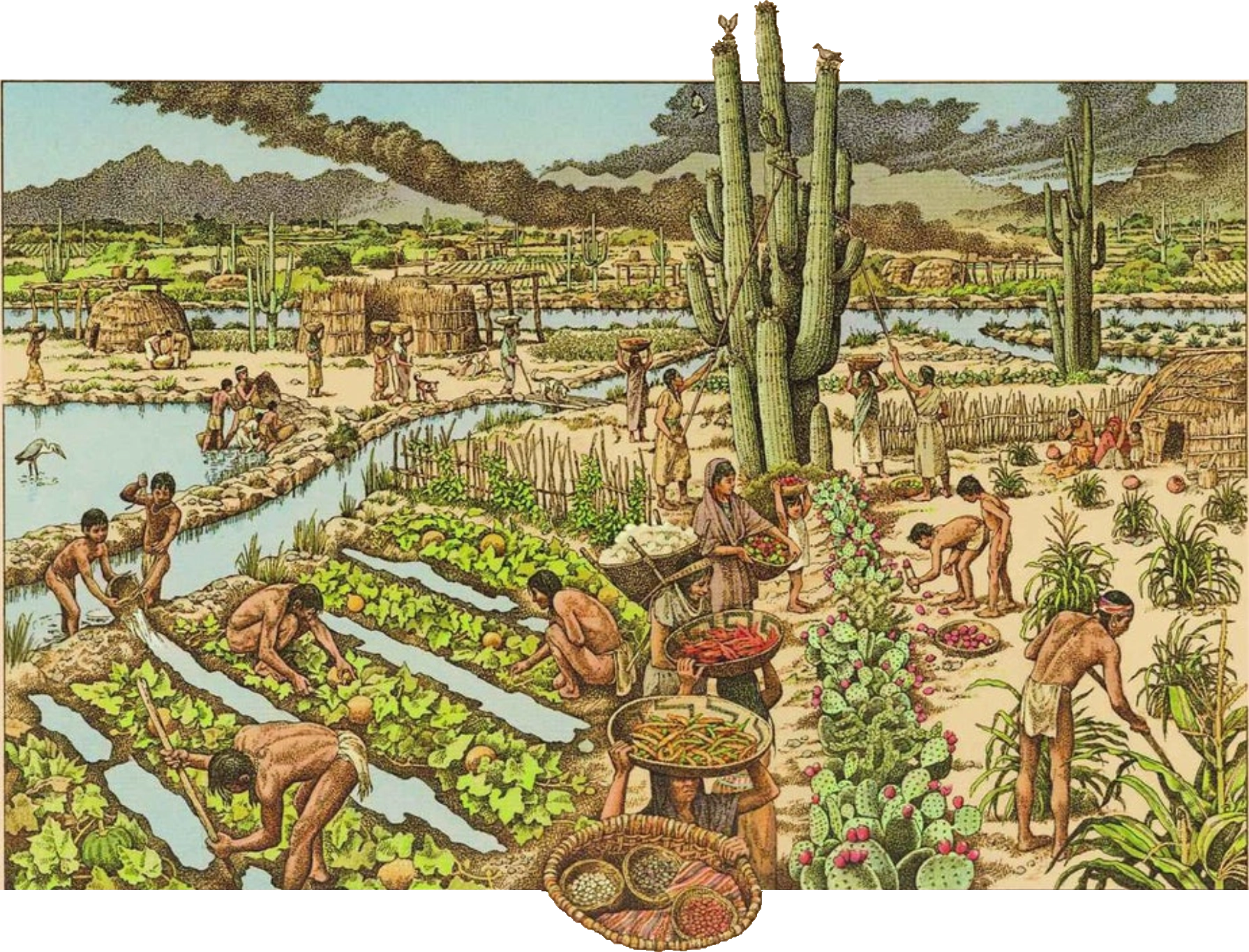 Hohokam Civilization
